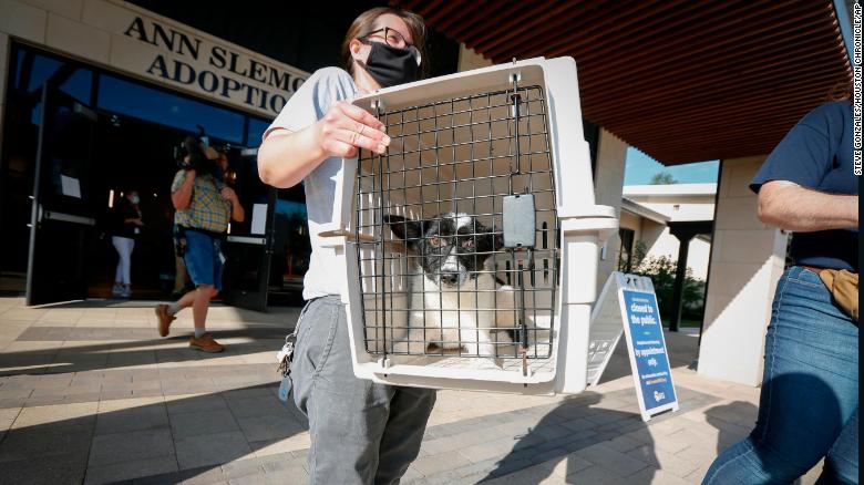 Katy Gay carries a dog as the Houston SPCA sent about 25 dogs and over 100 animals total to the Austin Humane Society as Hurricane Laura threatens the Texas coast.