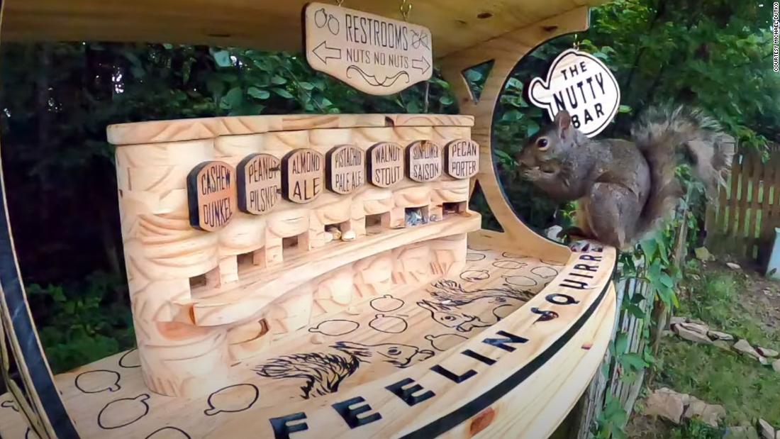Ohio man built backyard squirrel bar with seven varieties
