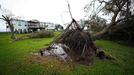 An uprooted tree sits in the aftermath of Hurricane Laura in Sabine Pass in Port Arthur, Texas, on Thursday.