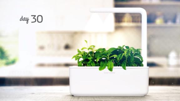 Click and Grow Smart Garden 3 Indoor Herb Garden