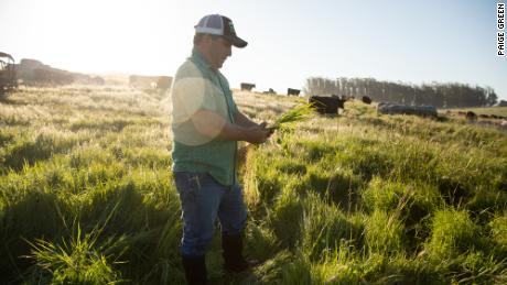 Hamburgers are hard on the planet. These cattle ranchers are trying to change that