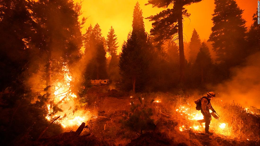 A firefighter sets a controlled burn with a drip torch while fighting the Creek Fire in Shaver Lake.