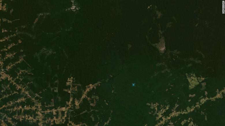 Satellite view of forests in southern Amazonas state in July 2019