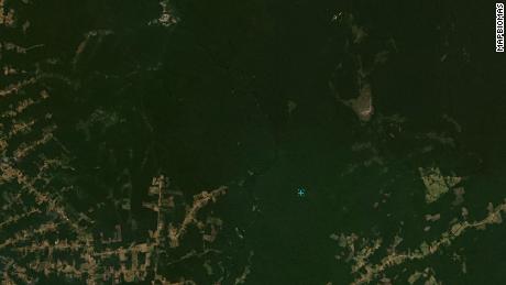 Satellite view of forests in southern Amazonas state in July 2019