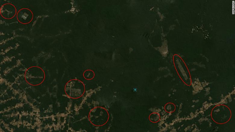 Satellite view of forests in southern Amazonas state in July 2020, showing cleared tracts annotated in red by MapBiomas.