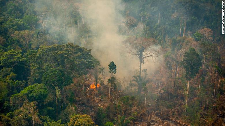 Tens of thousands of fires are pushing the Amazon to a tipping point