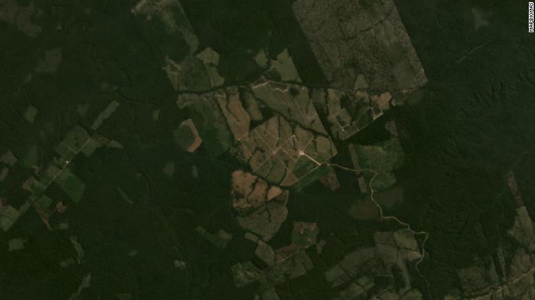 Satellite view of forests in Apui in July 2020 show expanded area of cleared land.