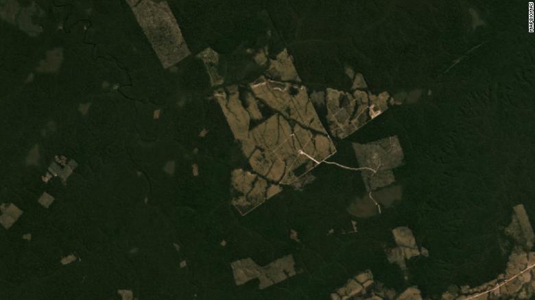 Satellite view of forests in Apui in July 2019.