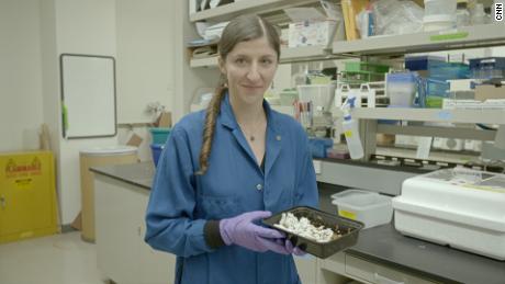 Stanford PhD candidate Anja Malawi Brandon in the lab.