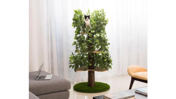 Archie & Oscar 60-Inch Henrietta Cat Tree