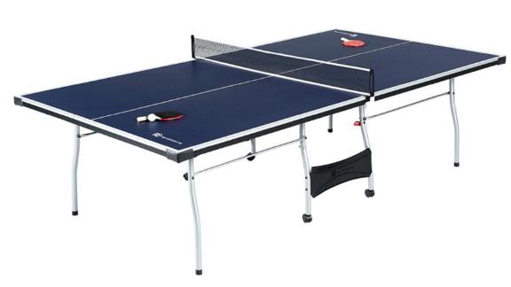 Indoor Table Tennis Table