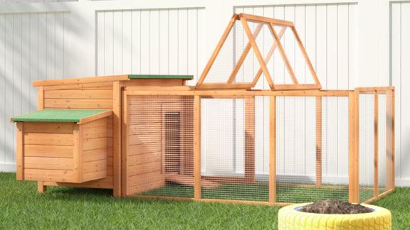 Archie & Oscar Auggie Chicken Coop With Chicken Run