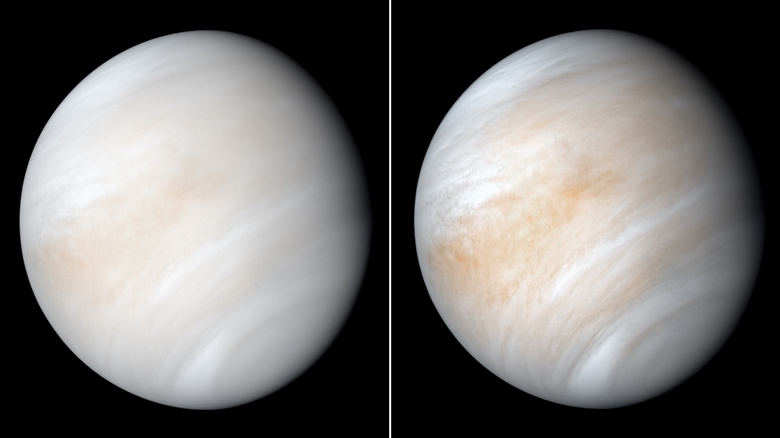 NASA&#39;s Mariner 10 spacecraft captured this view of Venus wrapped in a dense, global cloud layer. 