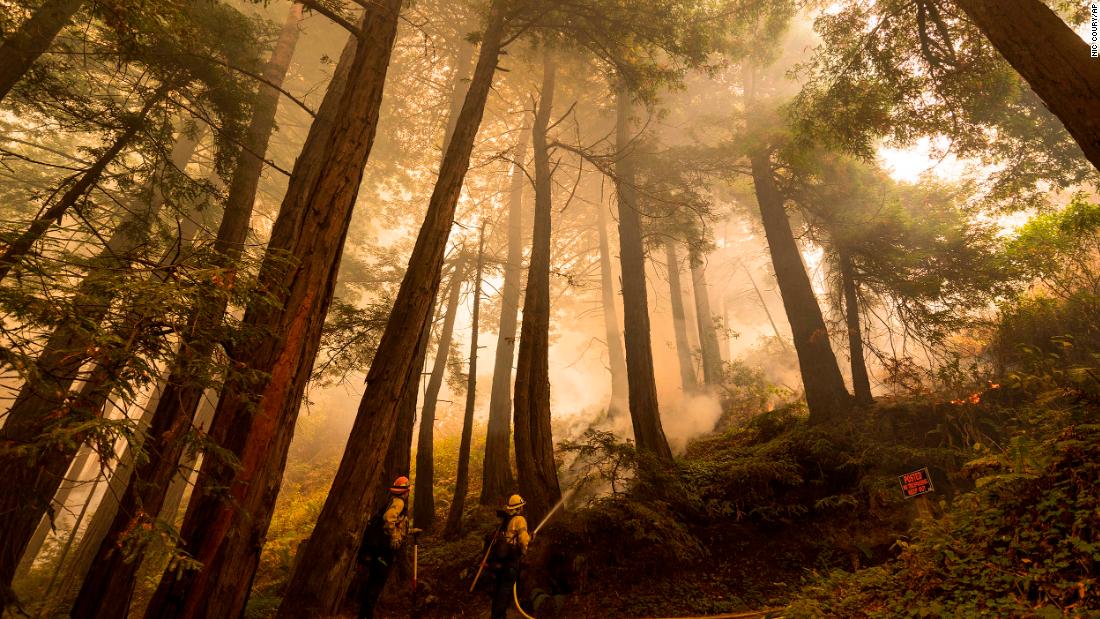 A firefighter shoots an incendiary device during a back burn to help control the Dolan Fire in Big Sur, California, on September 11. 