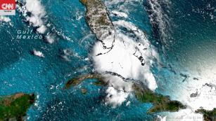 Tropical Storm Sally forms in the Gulf of Mexico 