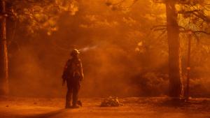 MONROVIA, CA - SEPTEMBER 11: A firefighter keeps watch on flames that could jump the Angeles Crest Highway at the Bobcat Fire in the Angeles National Forest on September 11, 2020 north of Monrovia, California. California wildfires that have already incinerated a record 2.3 million acres this year and are expected to continue till December. The Bobcat Fire has grown to more than 26,000 acres. (Photo by David McNew/Getty Images)