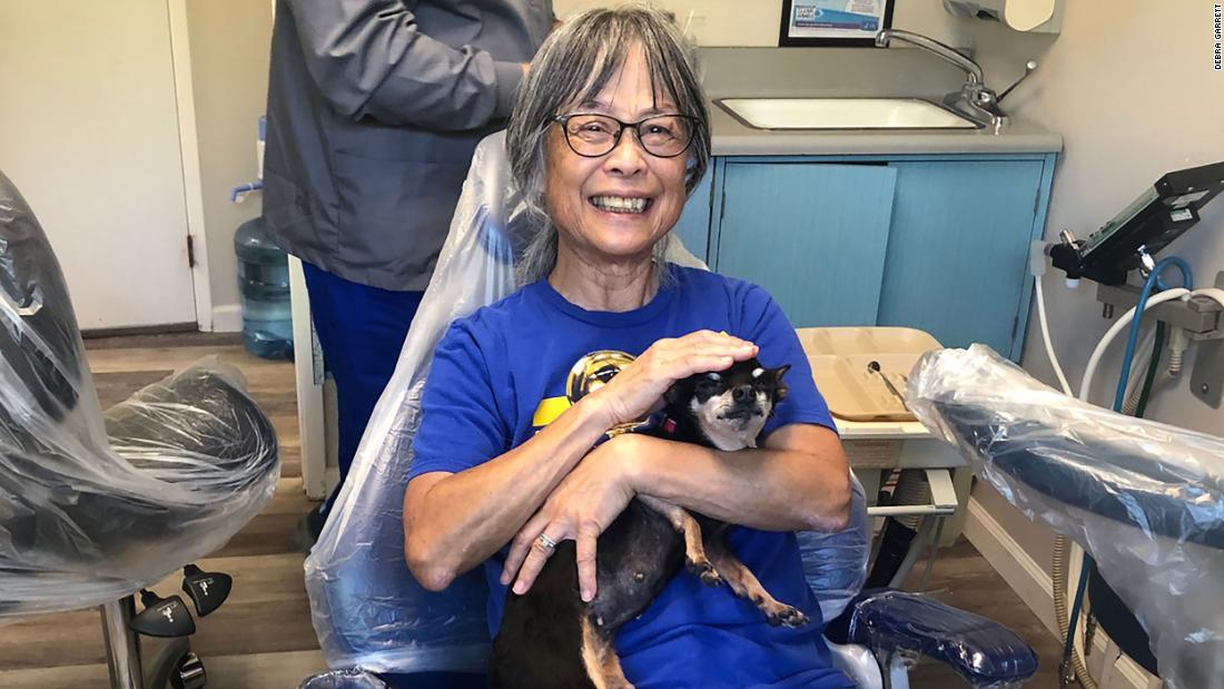 This toothless Chihuahua is comforting scared patients at a California dentist office