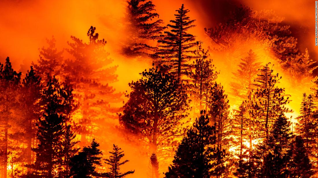 The Bobcat Fire burns in Angeles National Forest, north of Monrovia, California, on September 11.