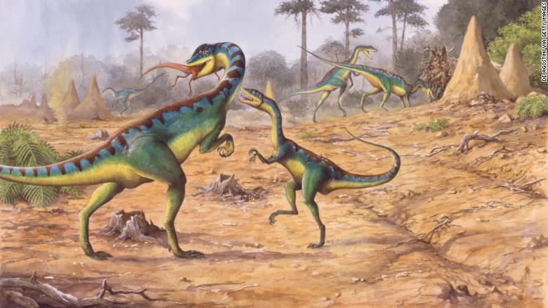 This previously unknown mass extinction gave rise to dinosaurs, scientists say