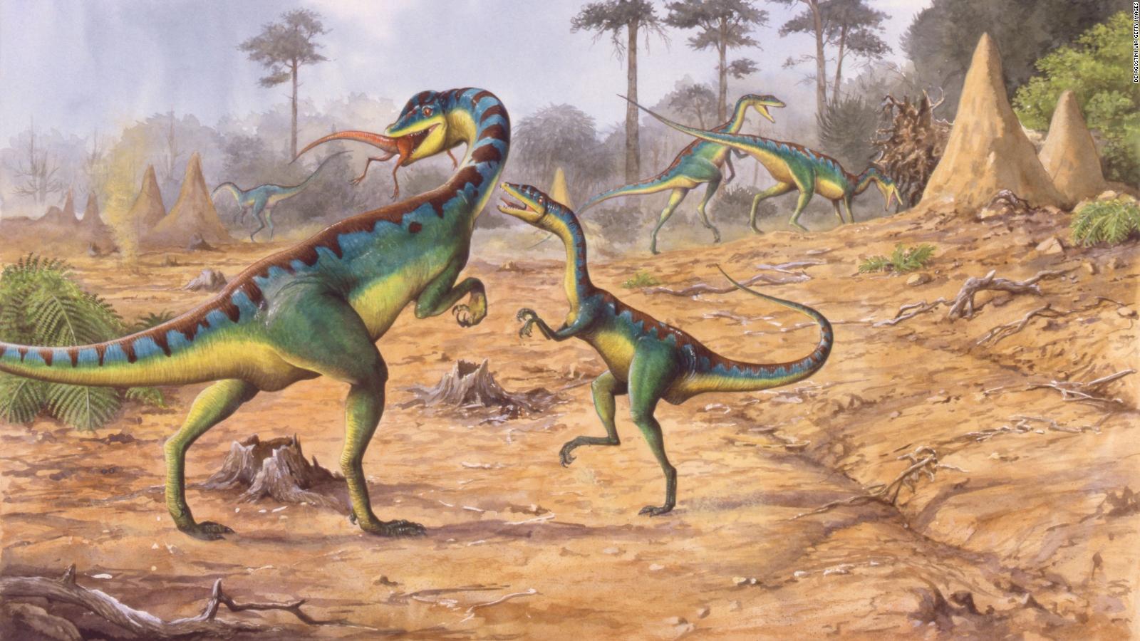 dinosaurs and their extinction