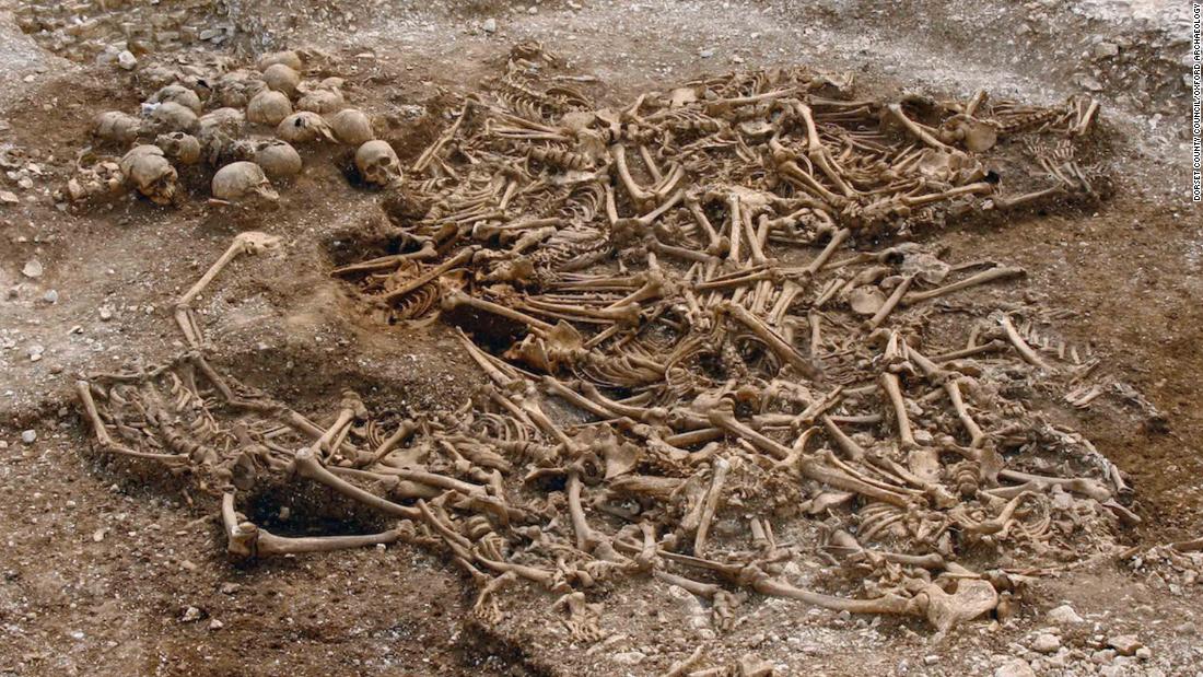 &lt;strong&gt;Viking diversity: &lt;/strong&gt;A mass grave of around 50 headless Vikings from a site in Dorset, UK. Some of these remains were used as part of a massive DNA analysis of over 400 Viking skeletons. The study found that the Vikings were surprisingly genetically diverse. 