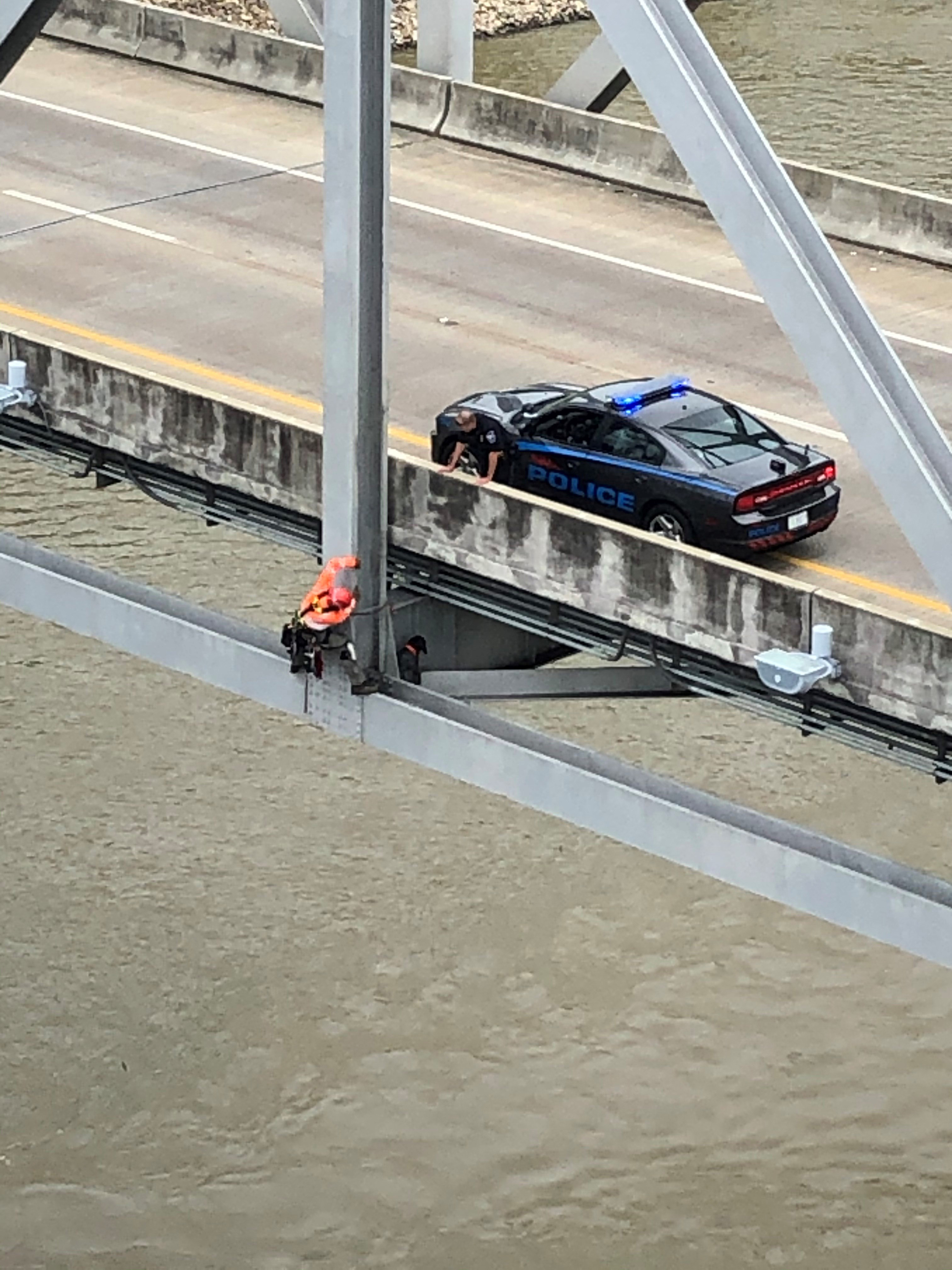 Bridge inspector rescues dog stranded 120 feet above Mississippi River | CNN
