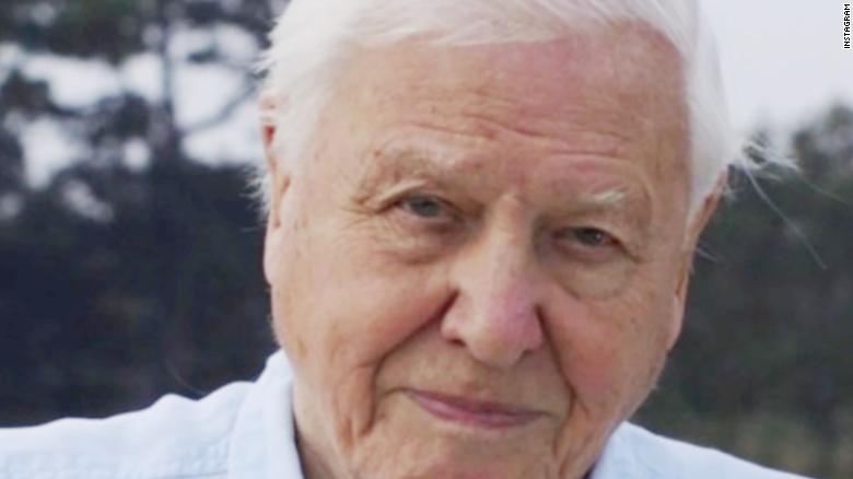 British prince receives fossilized shark tooth from naturalist David Attenborough