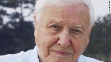 David Attenborough joined Instagram. Four hours later he had 1 million followers