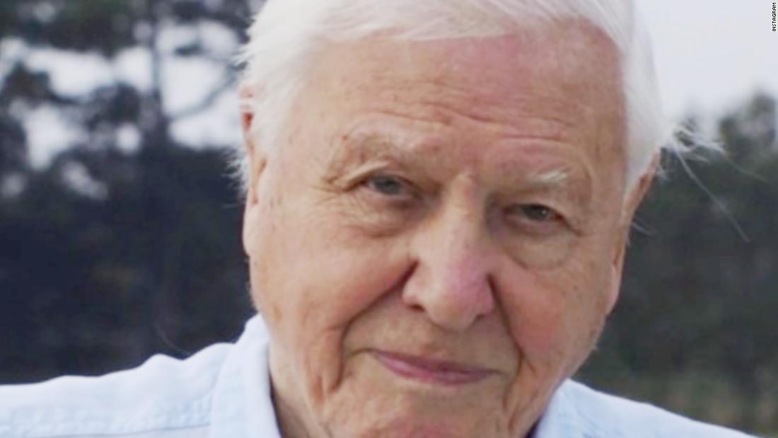 David Attenborough Joined Instagram Four Hours Later He Had 1 Million Followers Cnn