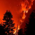 western wildfires 0921 bobcat