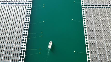 A boat navigates a channel between floating solar arrays at a facility built by Akuo Energy in the Rhone Valley, France. The Solar Impulse Foundation supports around 400 for-profit organizations offering green solutions.