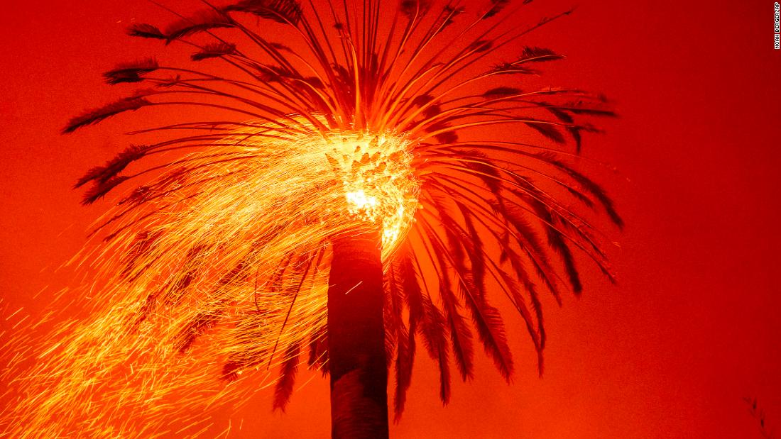 Embers fly from a tree as the Glass Fire burns in St. Helena on September 27.