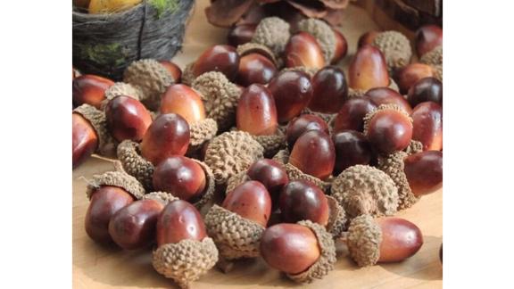 Haodeba Decorative Fake Mini Acorns, 50 Pieces 