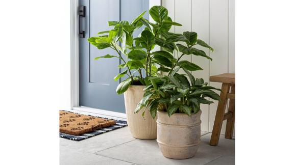 Threshold Designed by Studio McGee Terra-Cotta Porch Planter