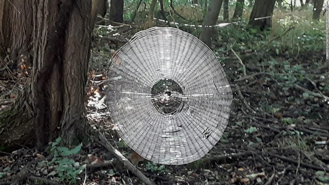 Spooky spiderweb found in Missouri looks big enough to 'catch' a human