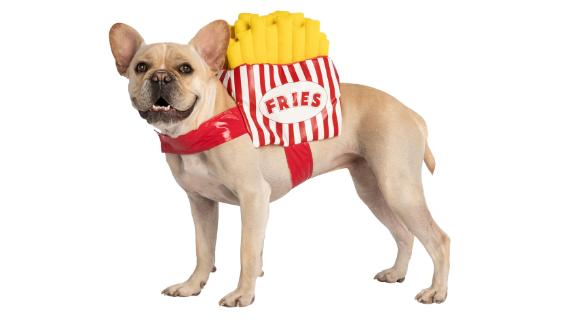 Thrills & Chills Pet Halloween French Fries Pet Costume