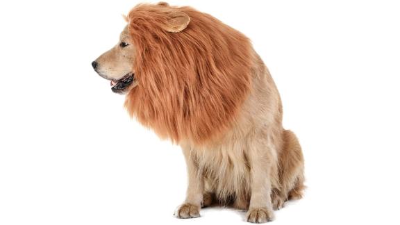 lion cone for dogs