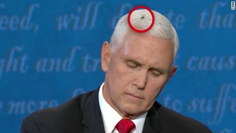 201008003115-mike-pence-fly-on-head-large-169.jpg