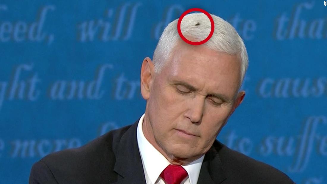 Fly Lands On Mike Pence S Head During Debate Cnn Video