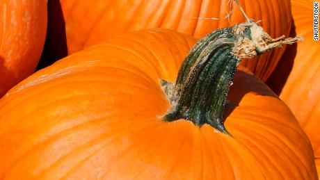 Pumpkin Spice: The Science Of Why Its Smell Gives You The Warm Fuzzies ...