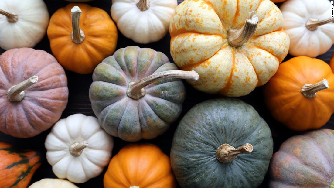 At the farmers market, gather pumpkins for roasting. Look out for sugar pumpkins and milk-fed pumpkins, which are best for cooking.