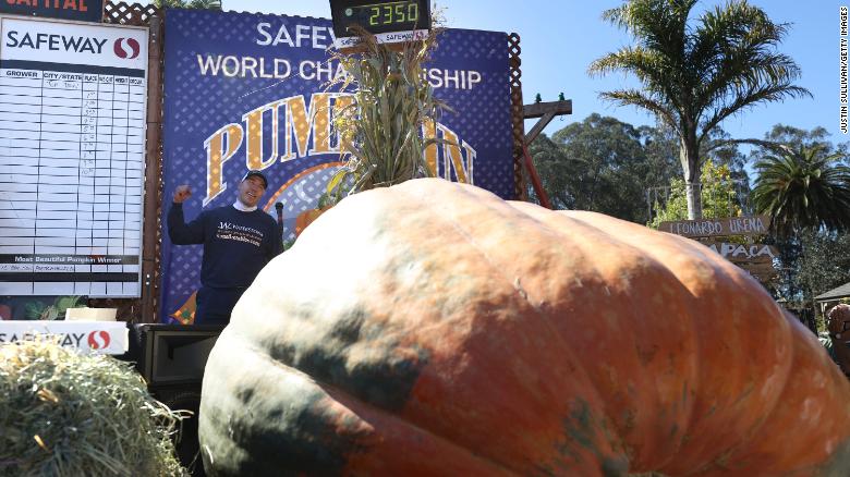 Minnesota man wins the ‘Superbowl of Pumpkins’ with 2,350-pound pumpkin named Tiger King
