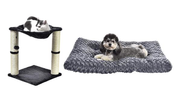 Pet Products from AmazonBasics, Solimo and Wag
