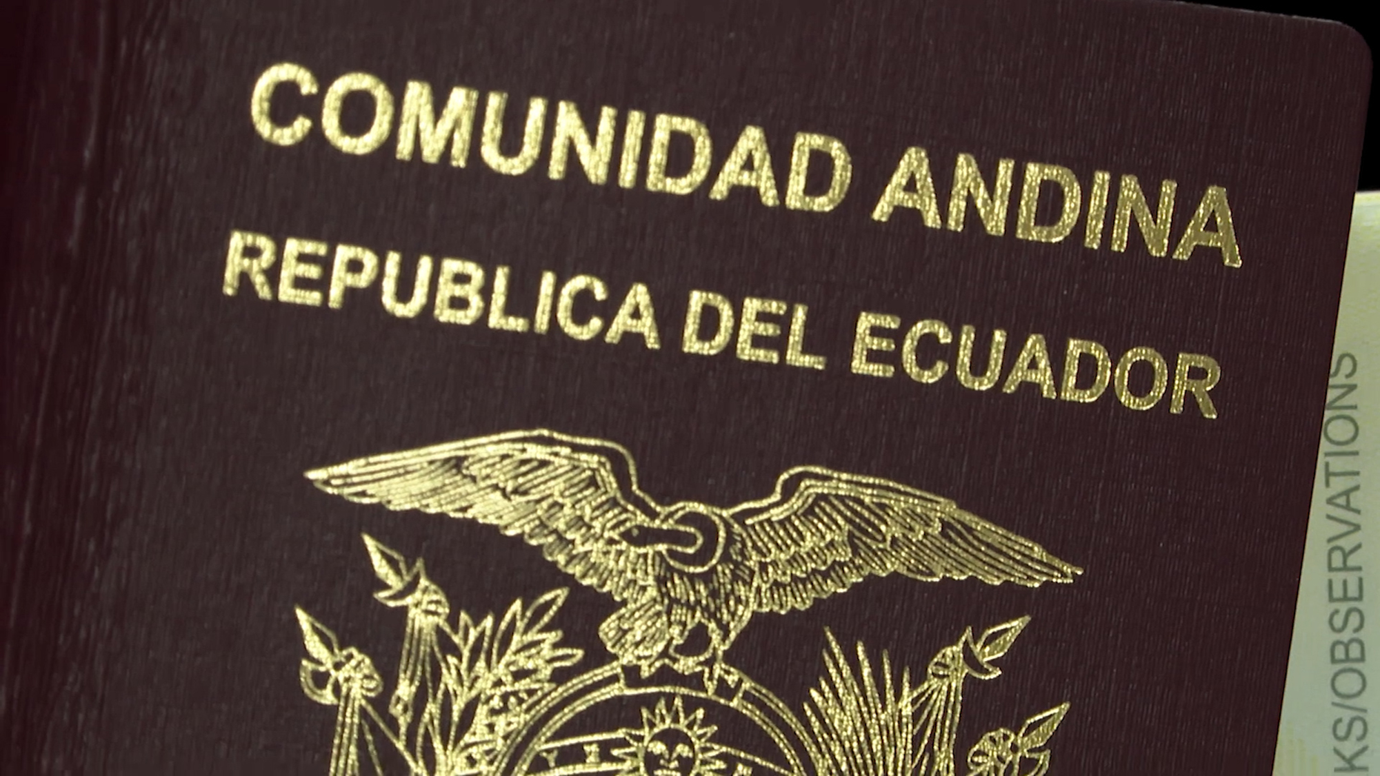 emblema del pasaporte