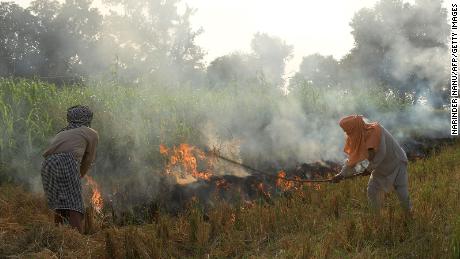 Farmers conducting stubble burning in a paddy field in Amritsar, India, on October 18.
