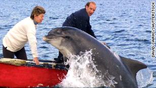 The Oddball Dolphin of Dingle