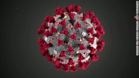 Batch of homegrown coronavirus mutations seen in US