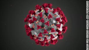 Batch of homegrown coronavirus mutations seen in US