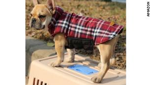 barbour dog coat amazon