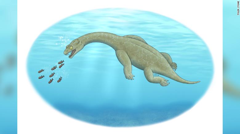 Newly discovered Triassic lizard could float underwater to pick off prey